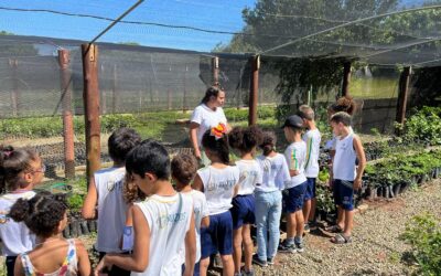 Mês das Crianças no Aretê: alunos da rede municipal de ensino de Búzios realizam atividades no Viveiro