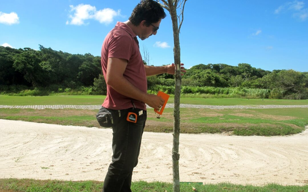Viveiro Aretê Búzios realiza mapeamento de matrizes de árvores para produção de mudas